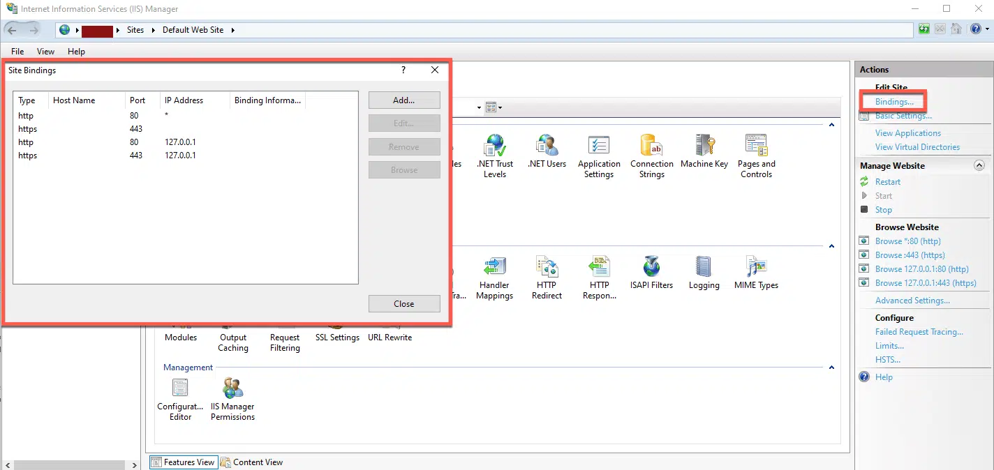 IIS showing the bindings